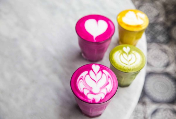 How Does a Diet Rich in Polyphenols Combat Oxidative Stress and Aging?